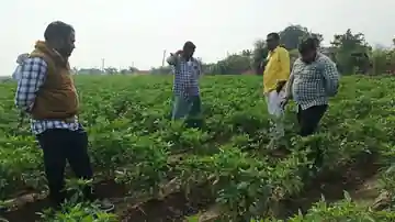 Foundation team meeting farmers in a crop field